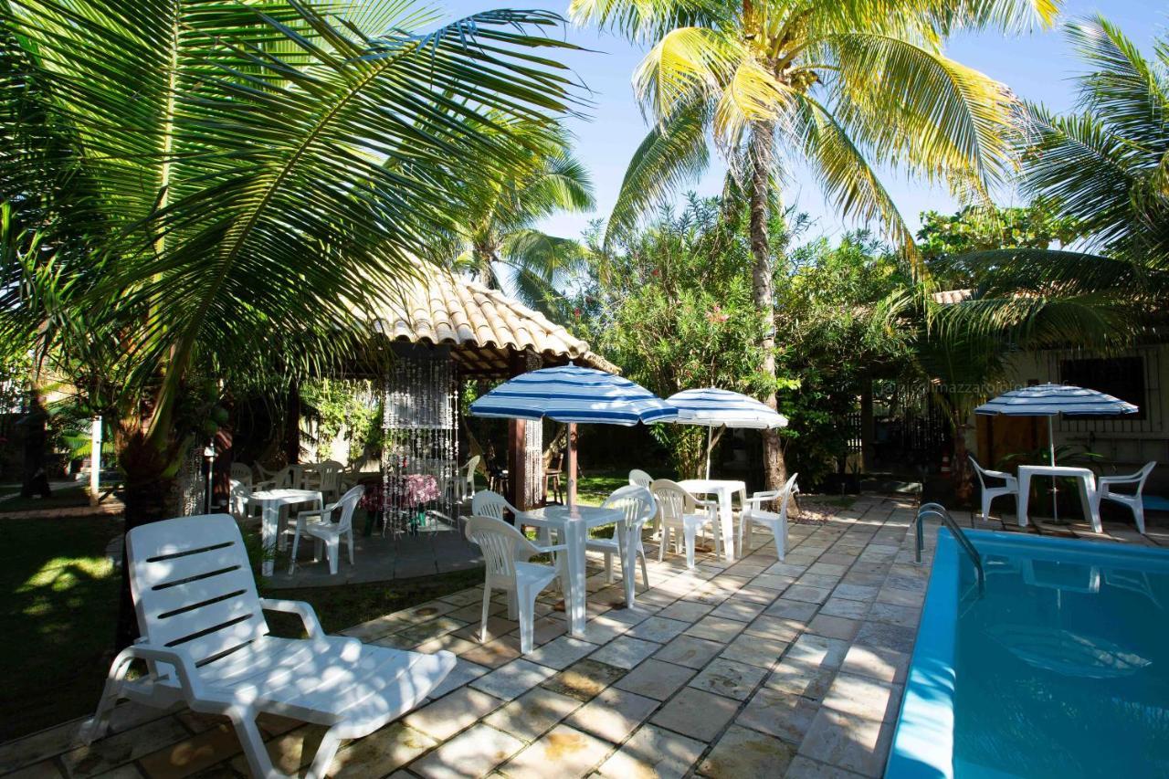 Hibiscus 3*