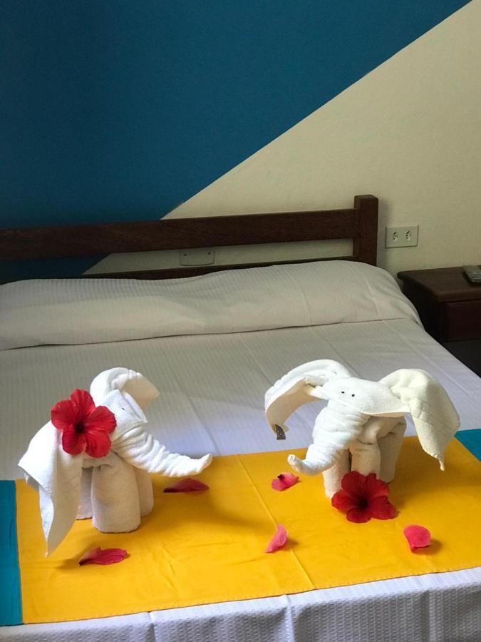 Inn Hibiscus